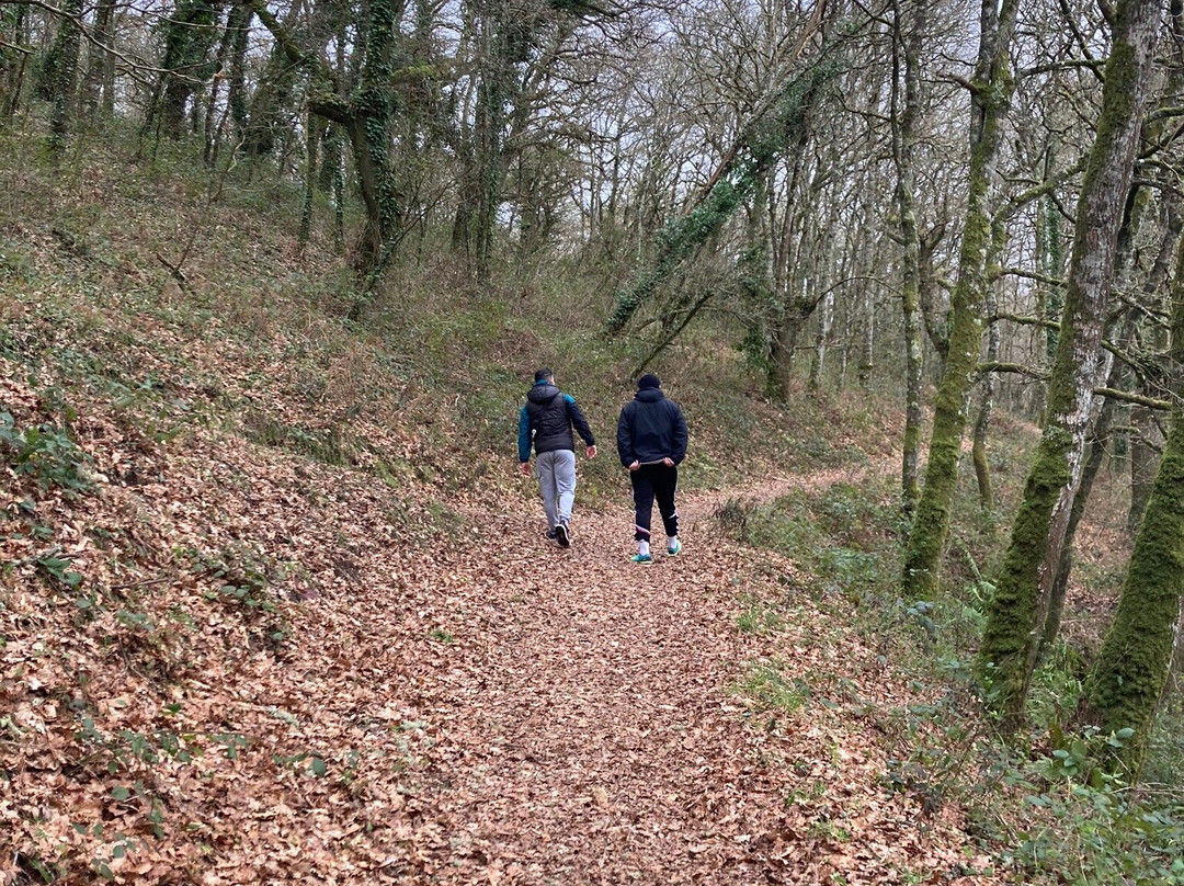 Paseo do Río Rato-卢戈省必去景点
