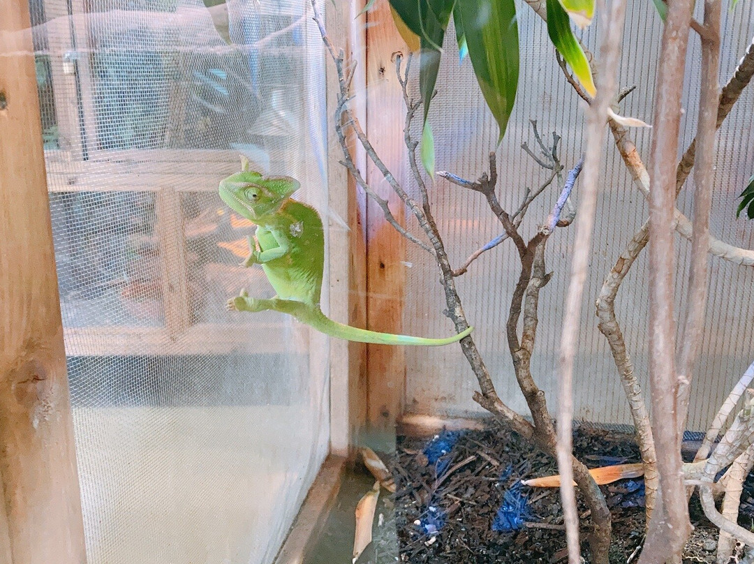 iZoo-河津町必去景点