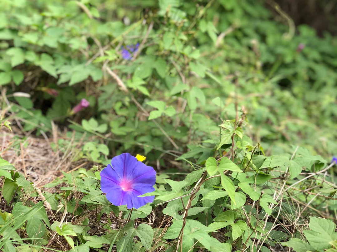 Reserva Natural-Carilo必去景点