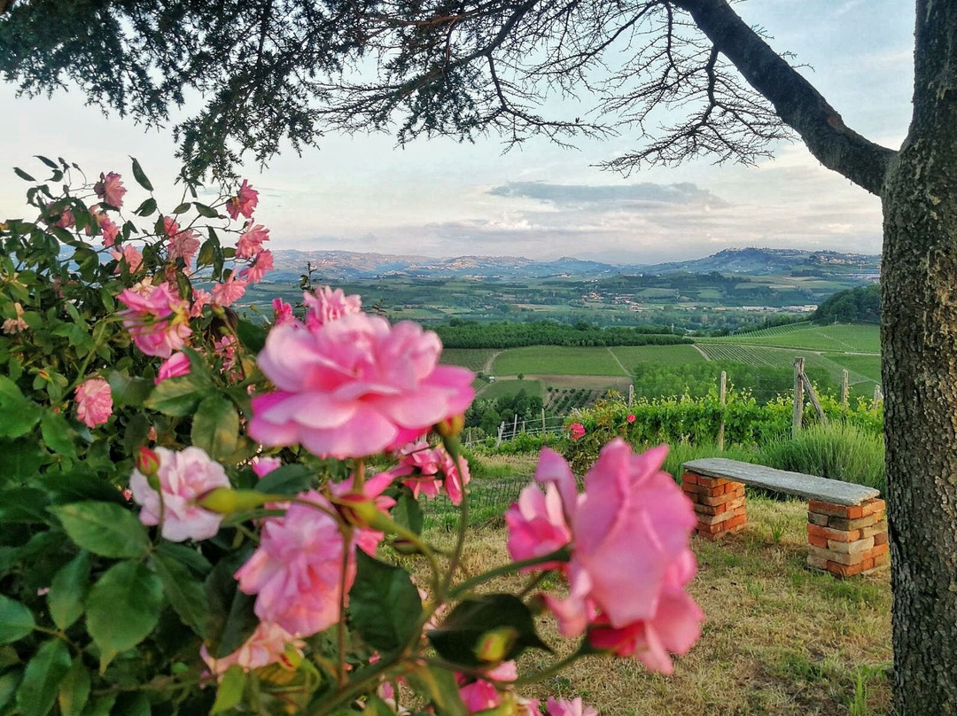 Sommariva Perno旅游景点-Azienda Agricola Cournaja