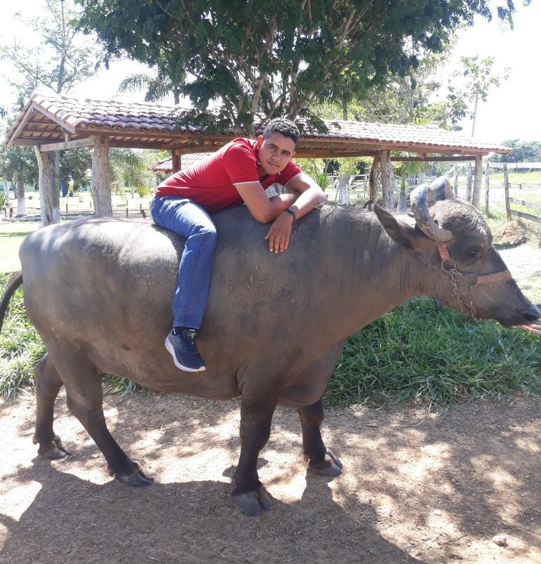 Hotel Fazenda Araras主图