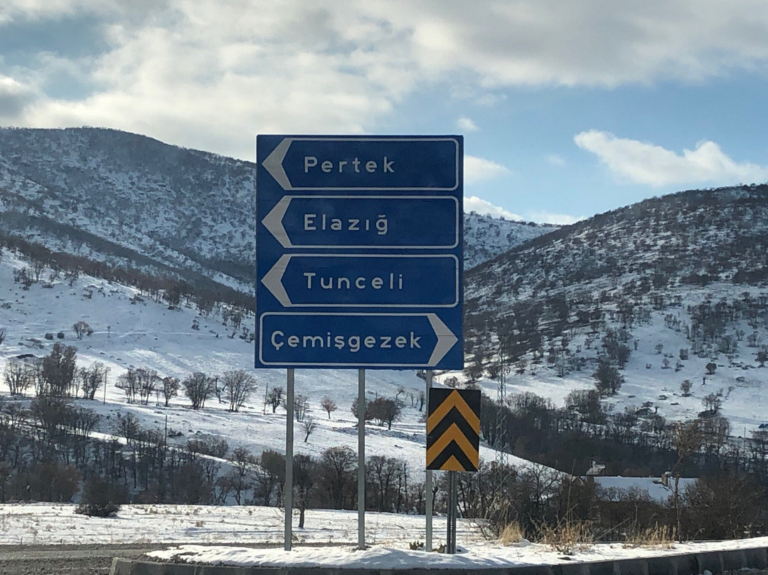 Pertek Belediyesi Feribotu景点图片