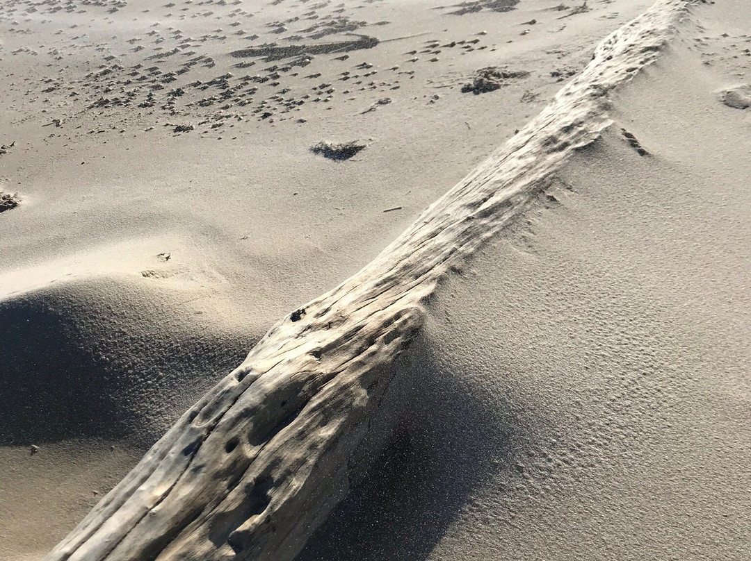 Grandview Nature Preserve-汉普顿必去景点