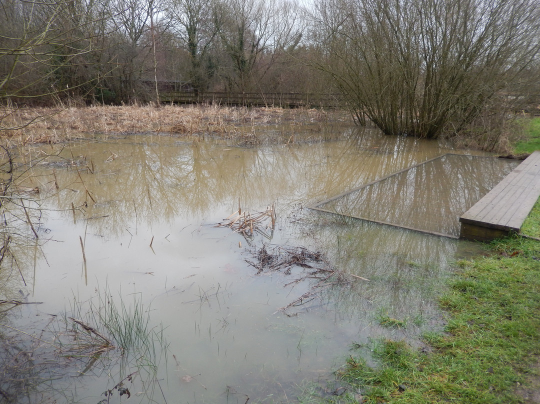 Warnham Local Nature Reserve景点图片