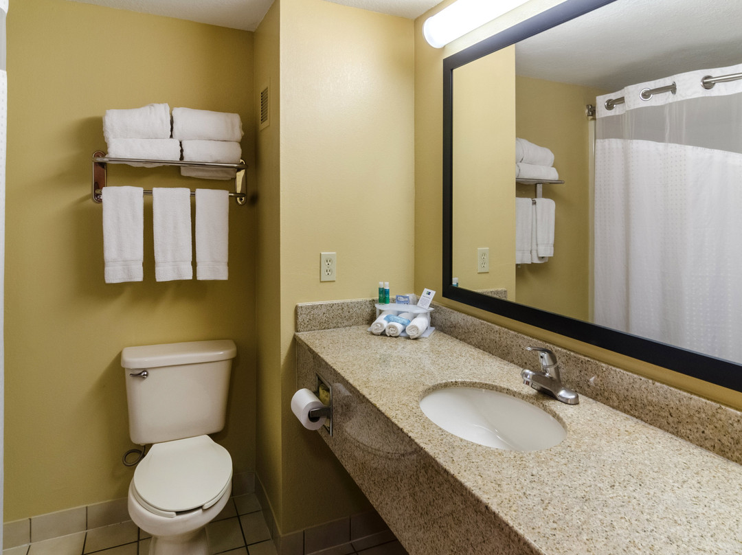 维尼塔快捷假日套房酒店主图