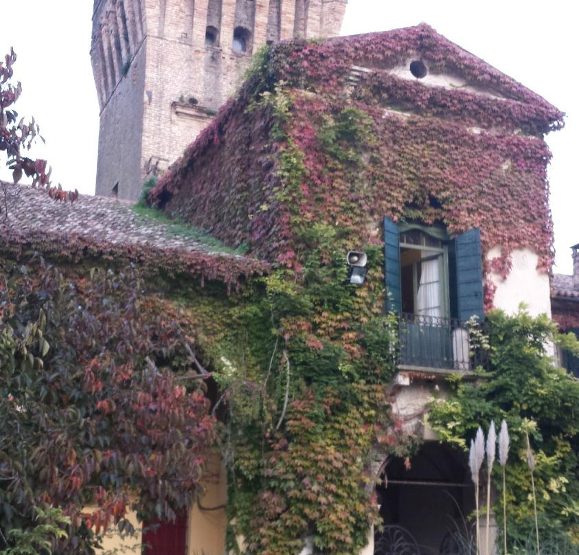 Museo dell'Aria - Castello di San Pelagio景点图片
