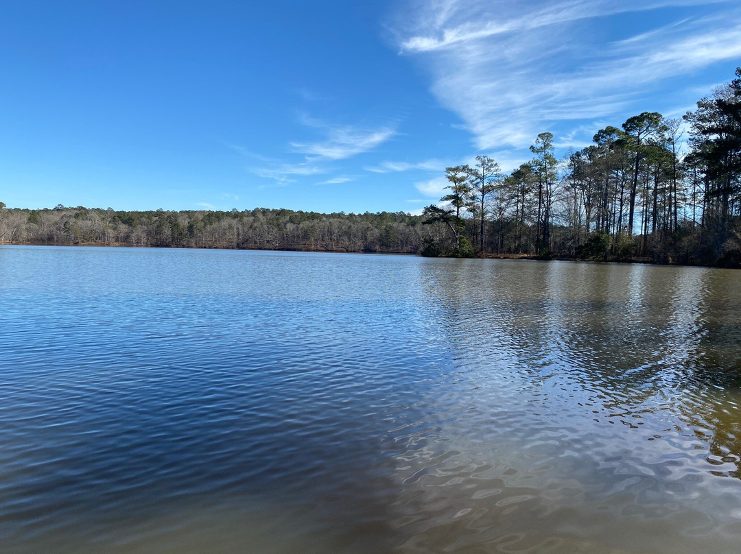 Hard Labor Creek State Park景点图片