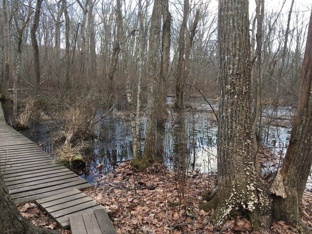 Clark Community Park-旧塞布鲁克必去景点