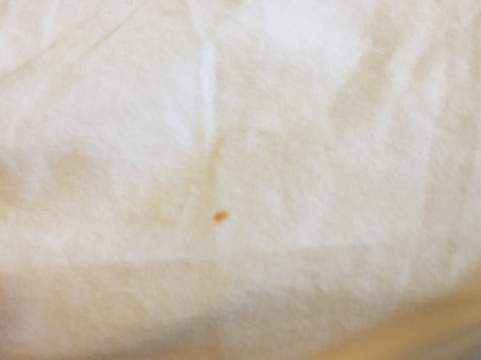 Lighthouse Inn主图