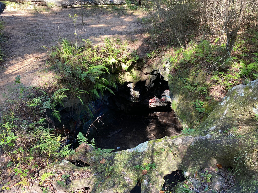 Dames Cave-Lecanto必去景点