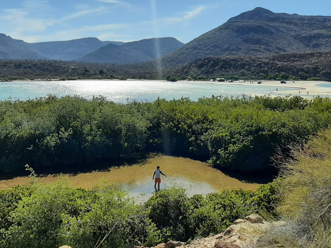 Playa el Requeson-洛雷托必去景点