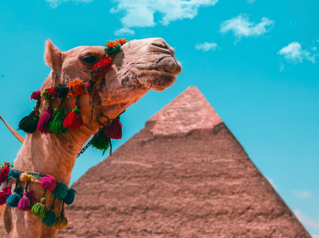 Show You Egypt-亚斯文必去景点