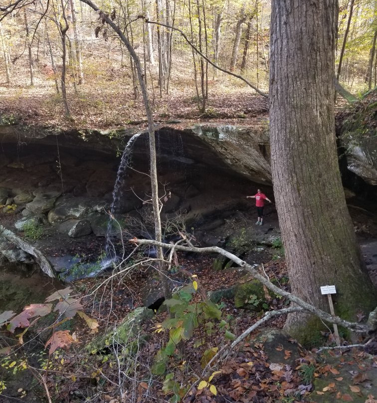 Cane Creek Canyon Nature Preserve景点图片
