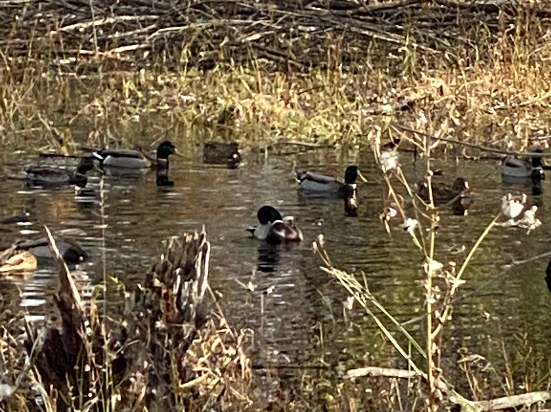 Chagrin River Park-Willoughby必去景点