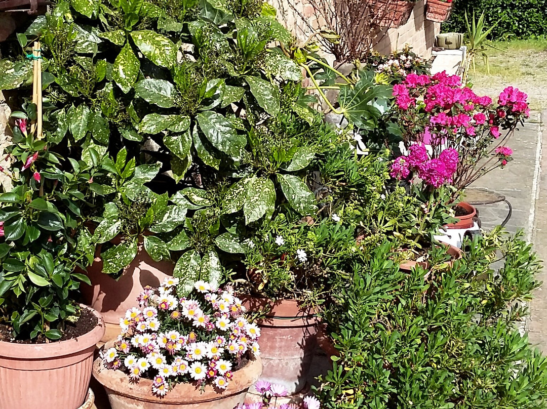 Podere le vigne主图