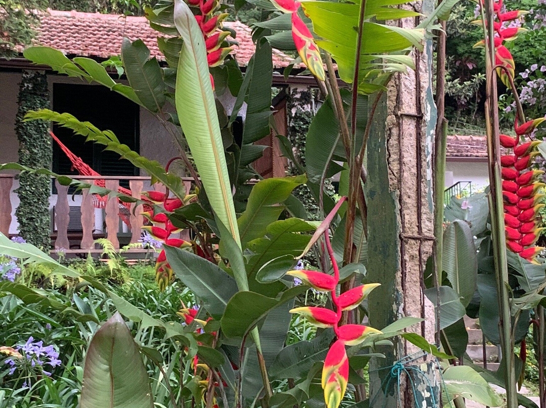 Pousada Jardim Secreto主图