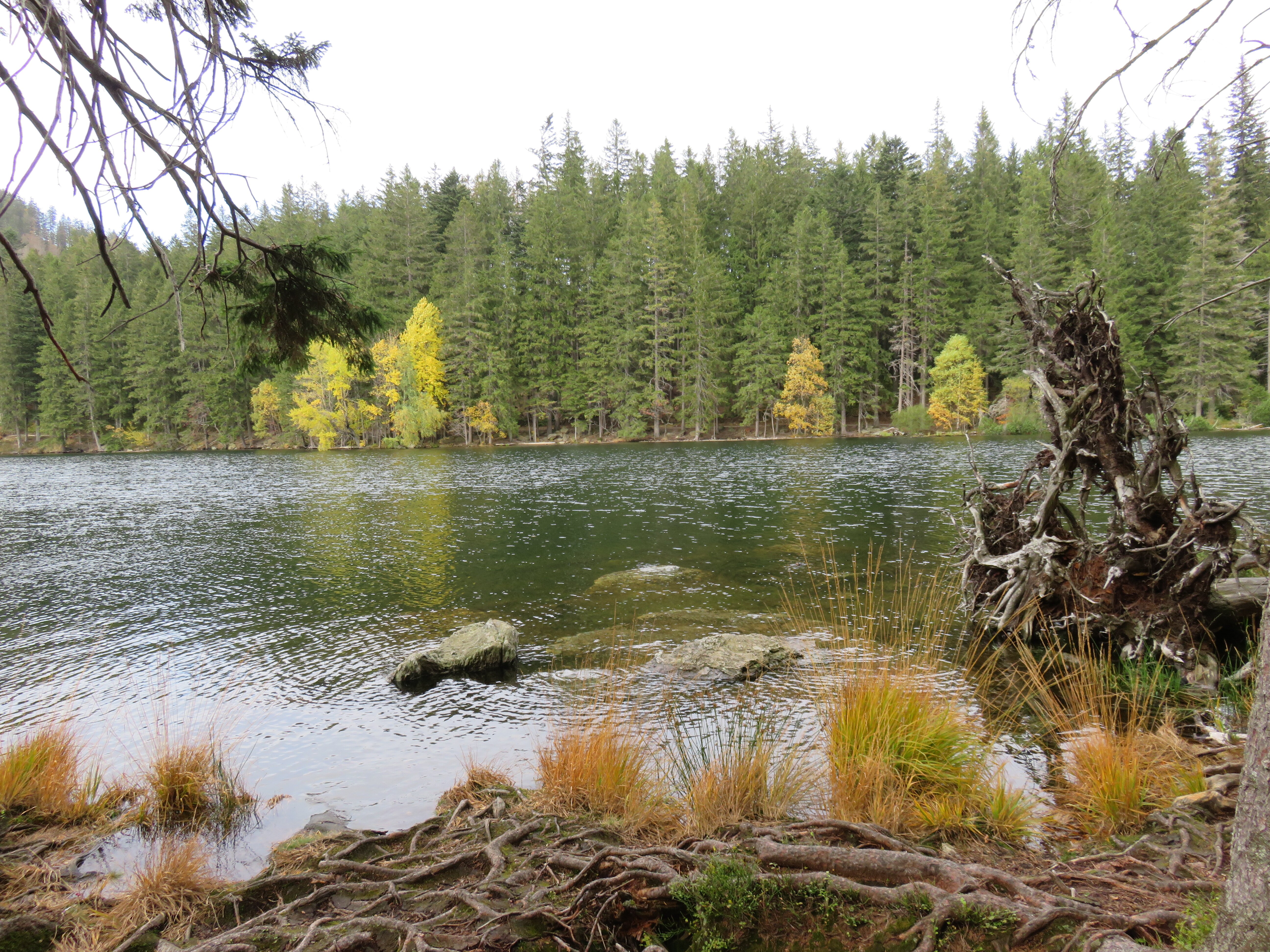 OREA Resort Horizont Sumava-酒店景观