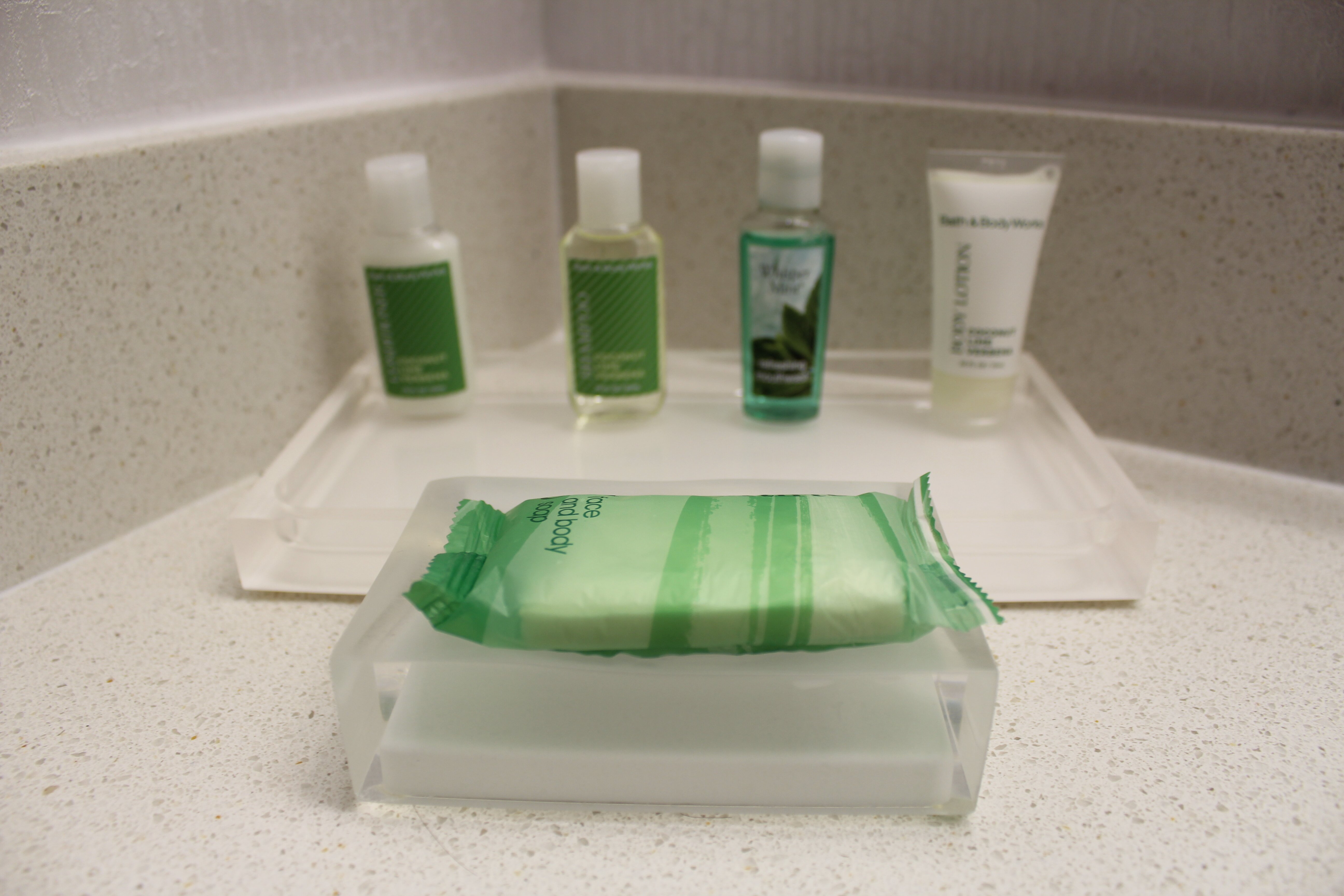 Holiday Inn & Suites Overland Park-West, an IHG hotel-浴室