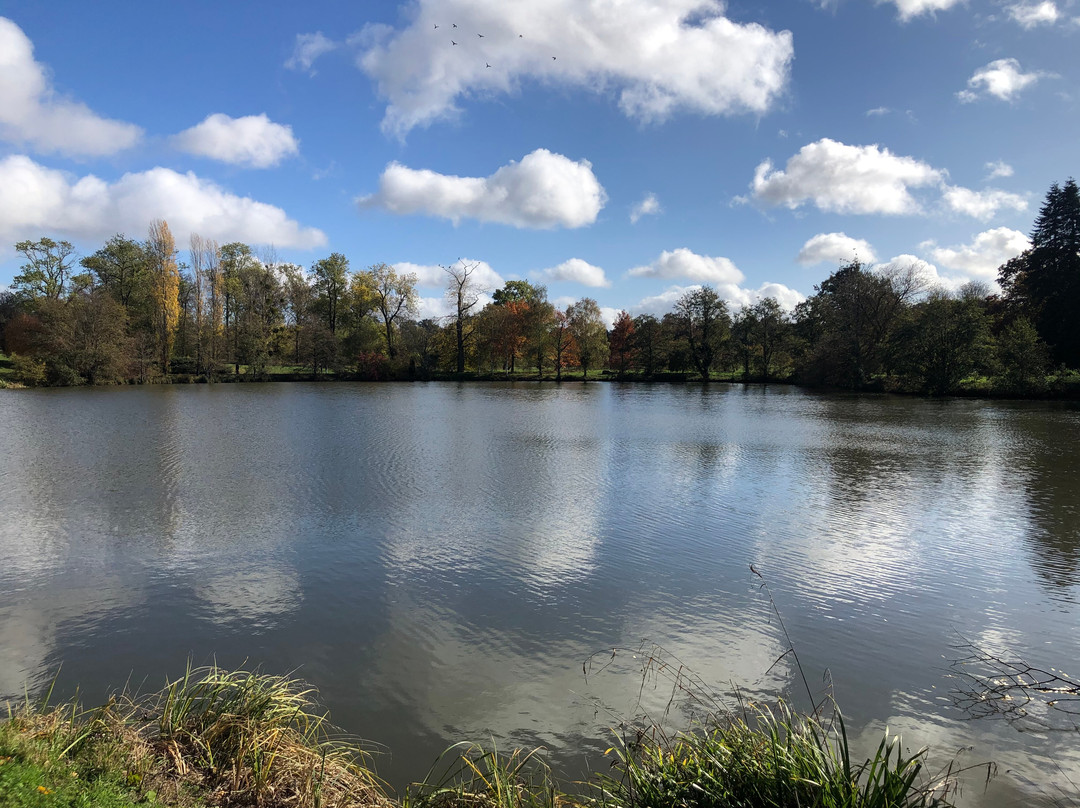 Arboretum de Versailles-Chevreloup景点图片