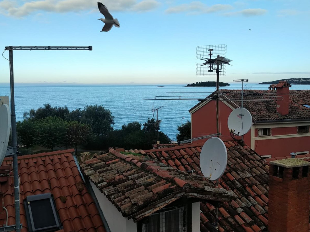 Spirito Santo Palazzo Storico主图