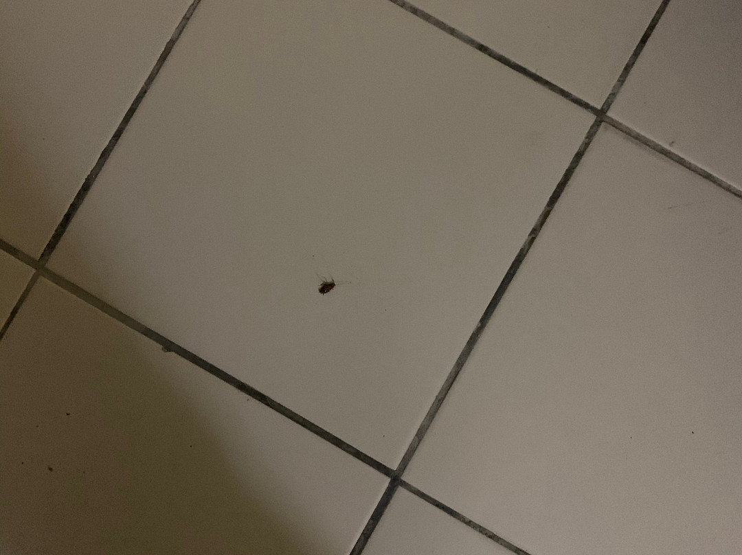 Sun Beach Resort主图