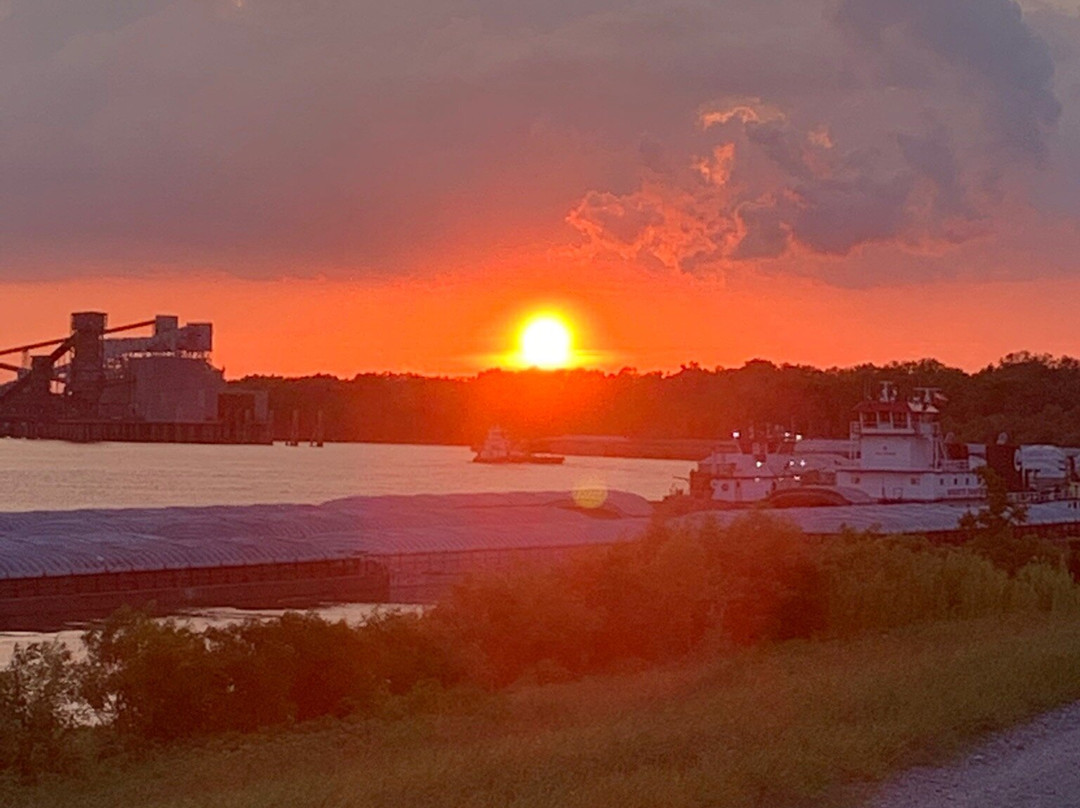 Poche Plantation主图