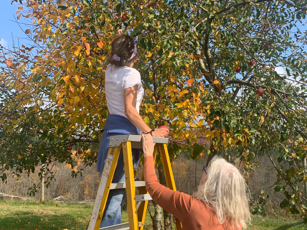 The Warfield House Inn主图