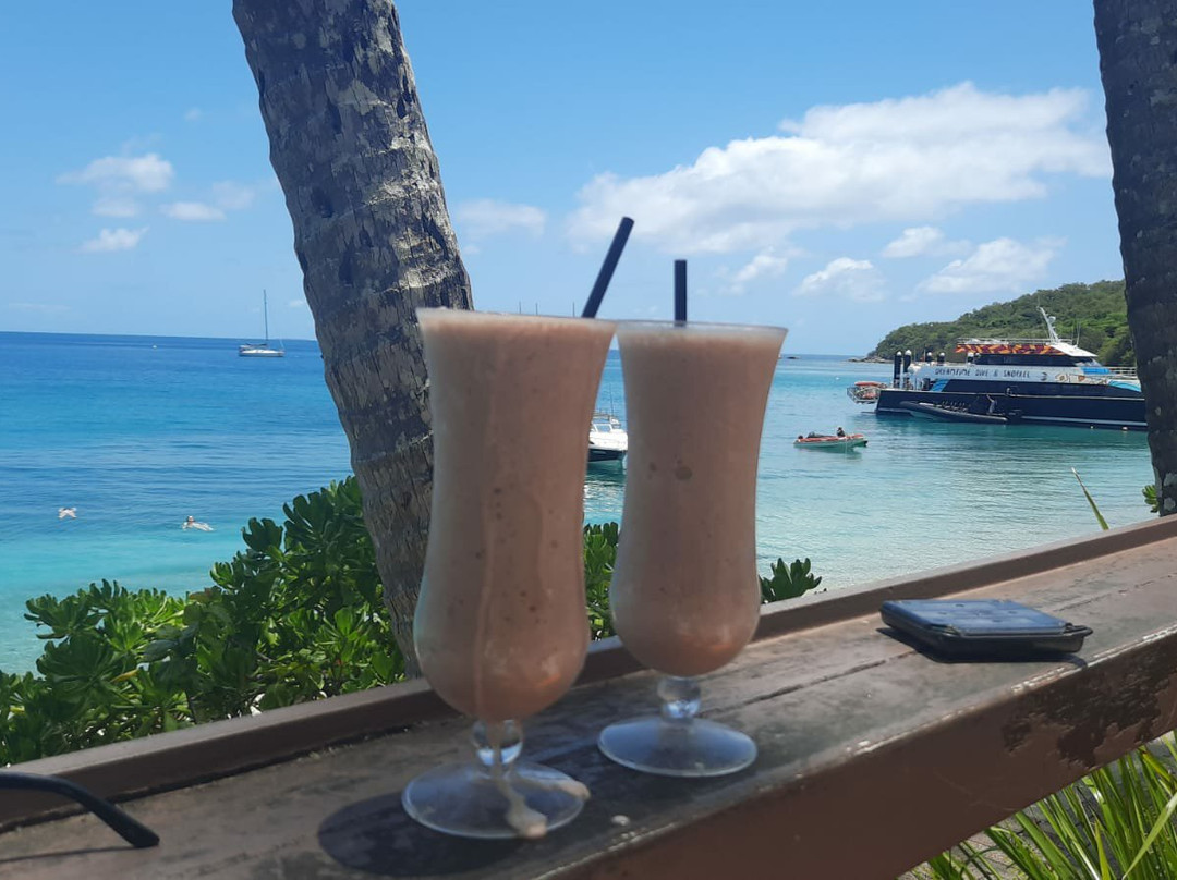 Calypso Reef Imagery Centre-凯恩斯必去景点