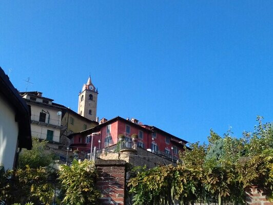 Comune di Monforte d'Alba-蒙福特-达尔巴必去景点