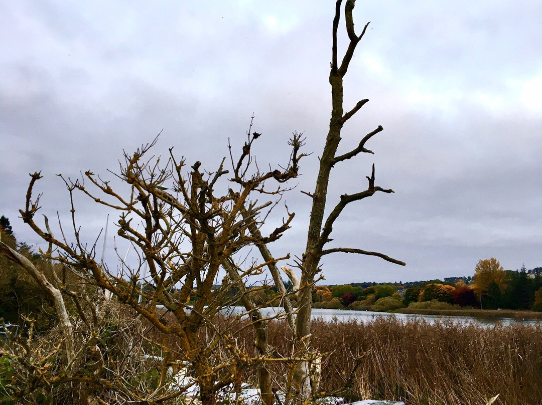 Loch Of Forfar-Forfar必去景点