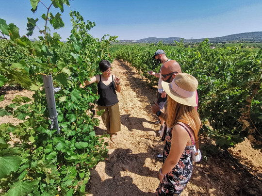 Discovering Valencia-巴伦西亚必去景点