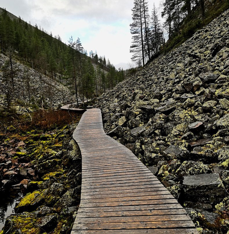 Pyha-Luosto National Park-Pyhatunturi必去景点