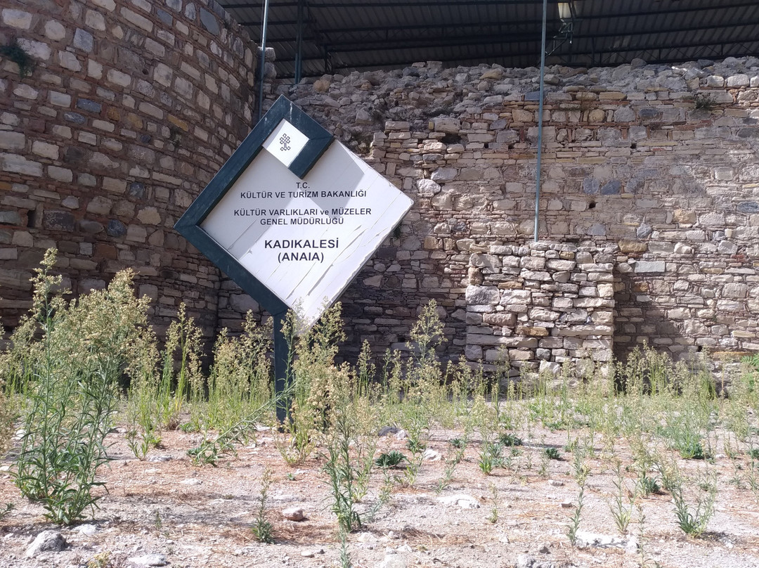 Kadikalesi Anaia Excavations景点图片