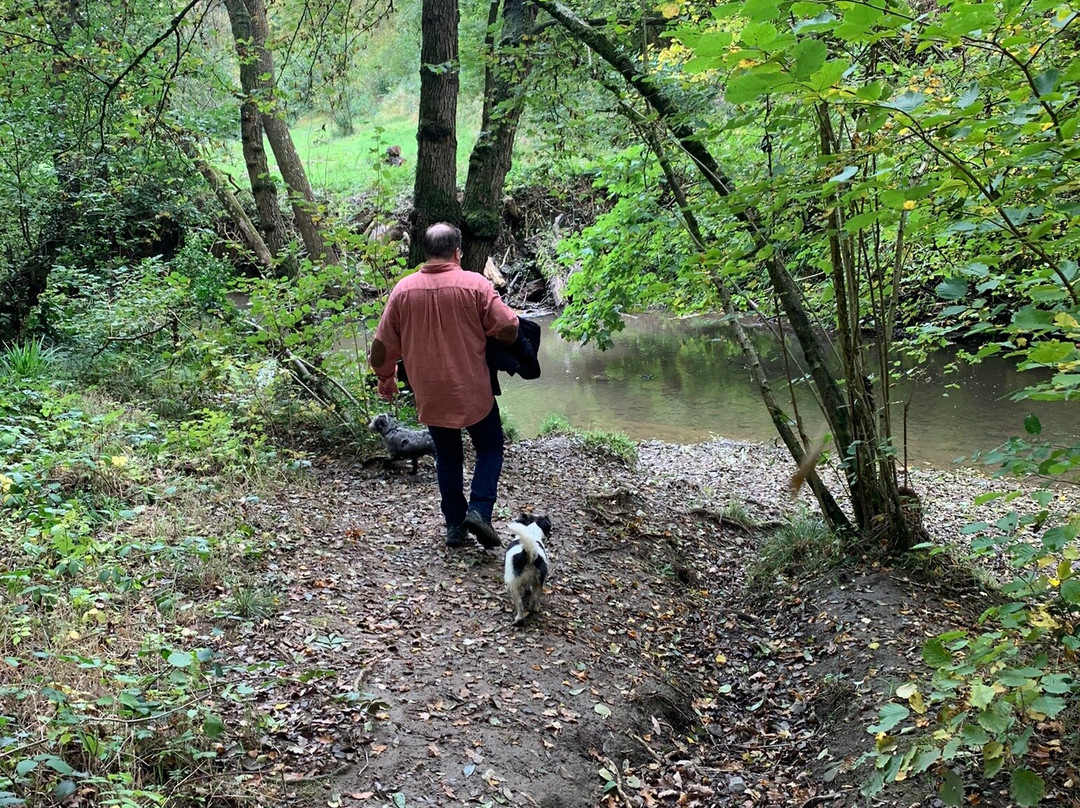 Oversley Wood-Alcester必去景点