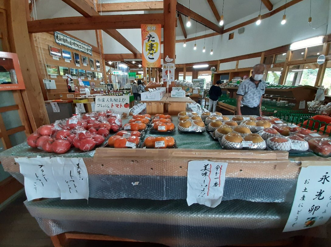 Michi-no-Eki Fureai Park Kimitsu-君津市必去景点