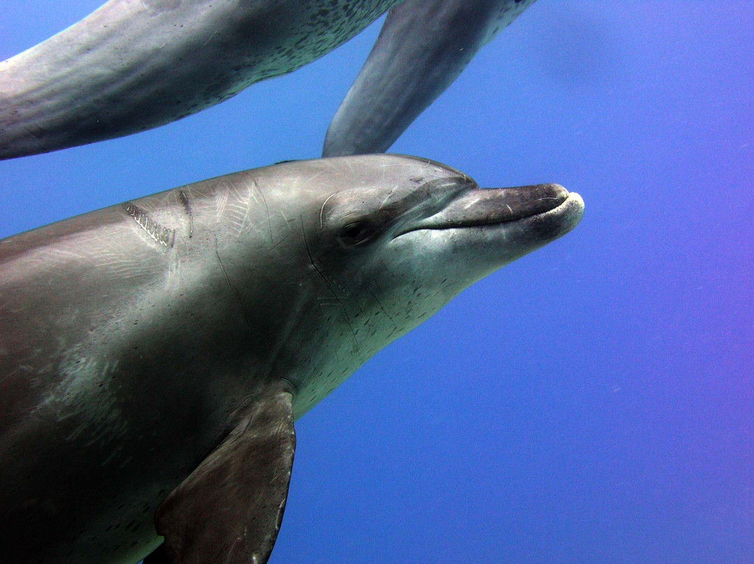 Got Your Guides-马卡迪湾必去景点