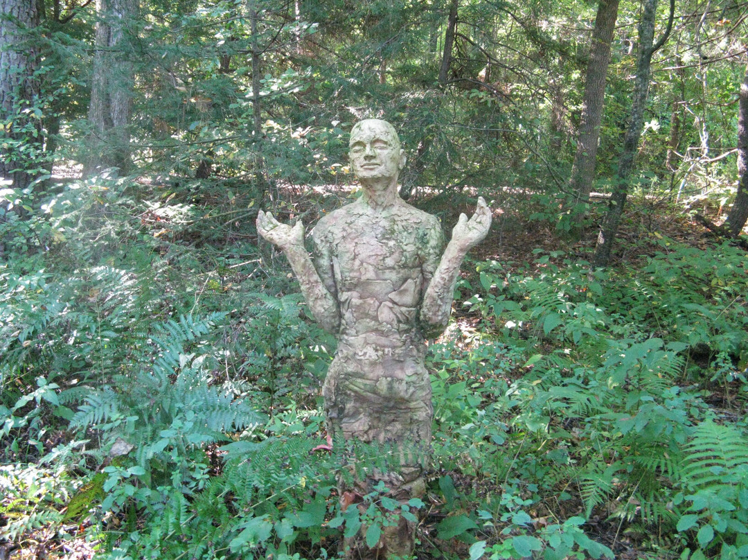 North Carolina Botanical Garden-教堂山必去景点