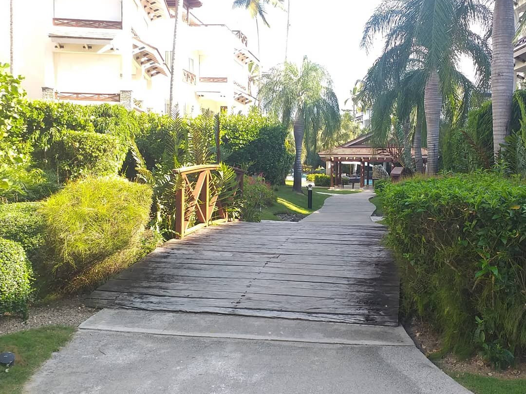 Xeliter Balcones del Atlantico - Las Terrenas主图