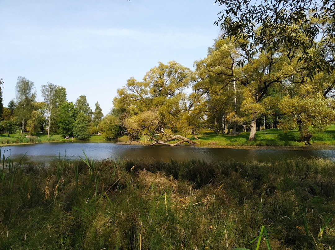 Viazynka branch of Yanka Kupala State Literary Museum景点图片