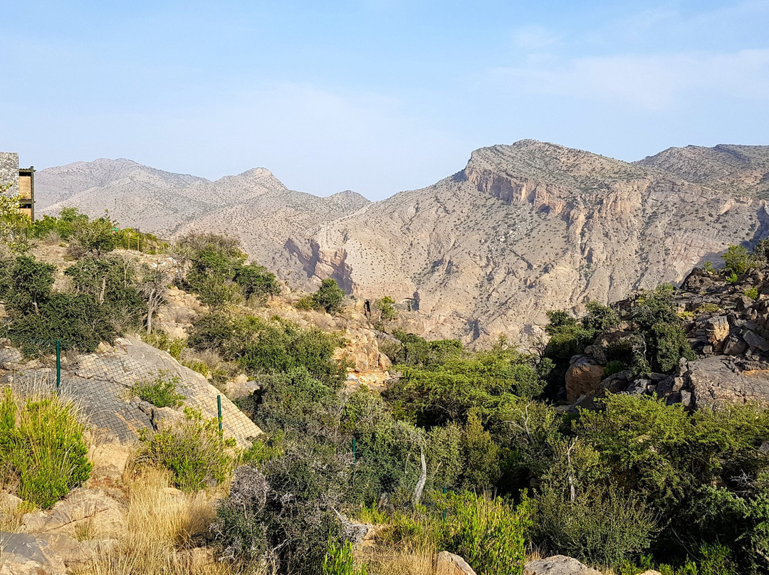 阿丽拉贾巴尔阿赫达度假村主图