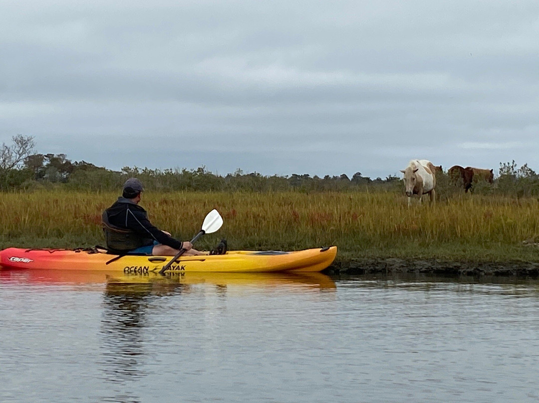Assateague Outfitters-Assateague Island必去景点