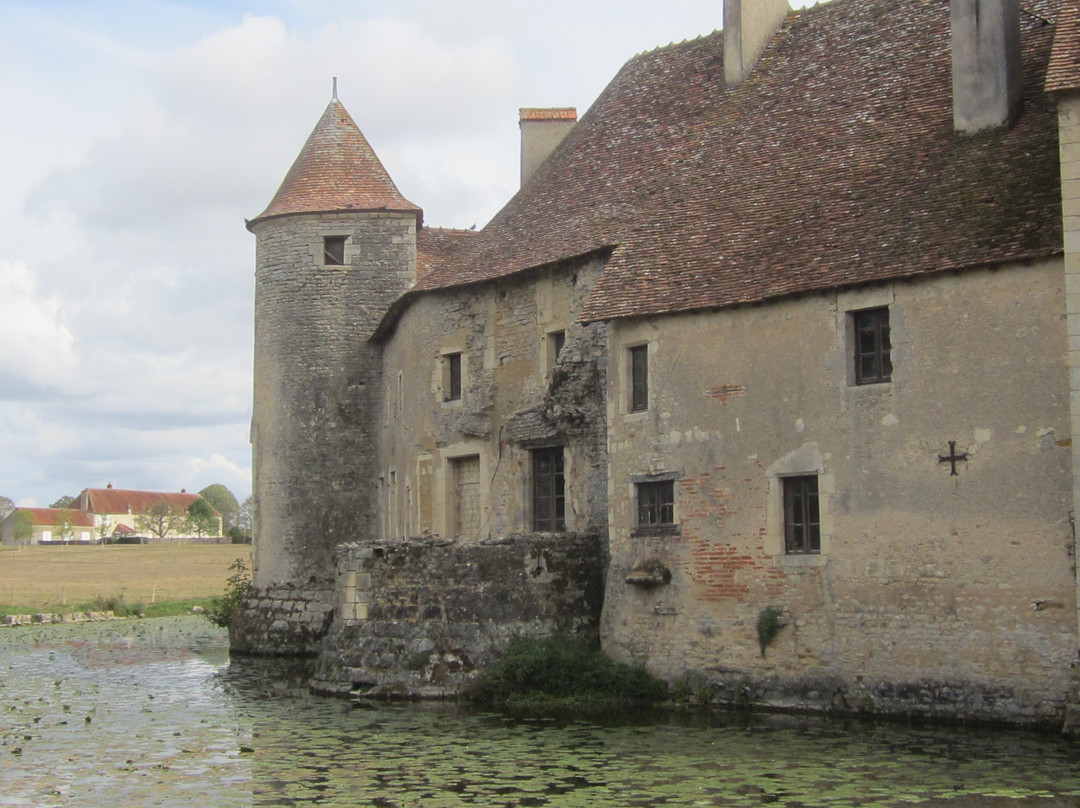 Château de Sagonne景点图片