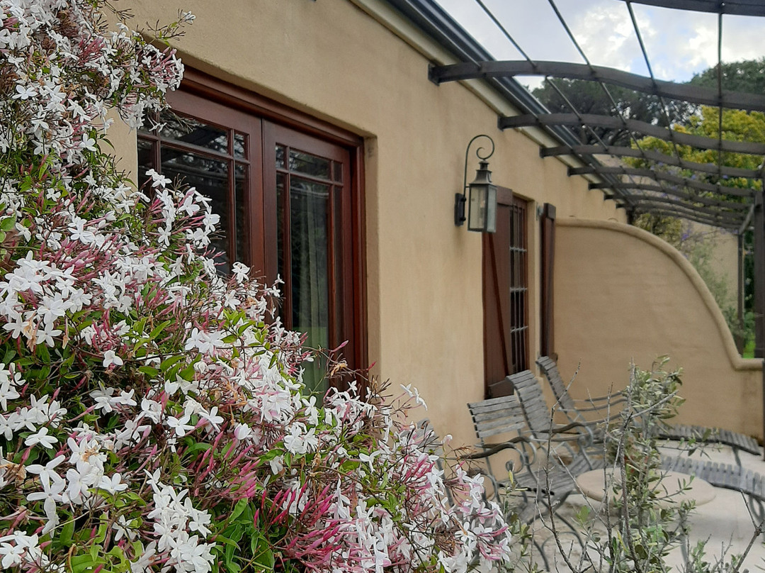 La Petite Dauphine主图