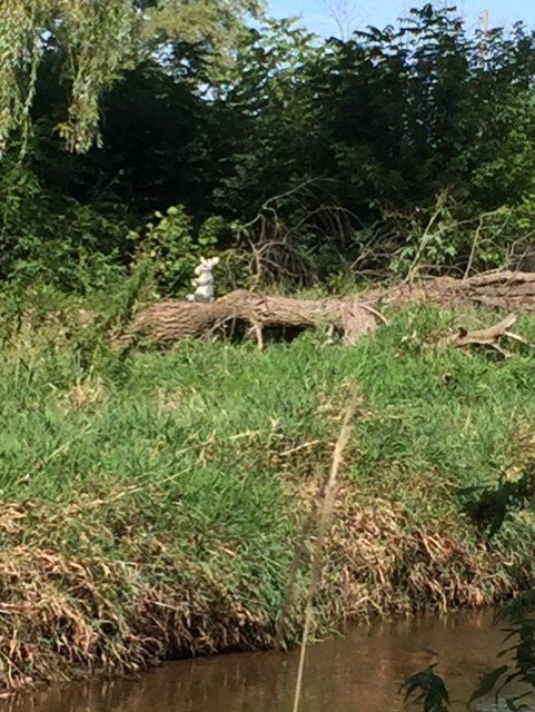 Rotary Park-Menomonee Falls必去景点