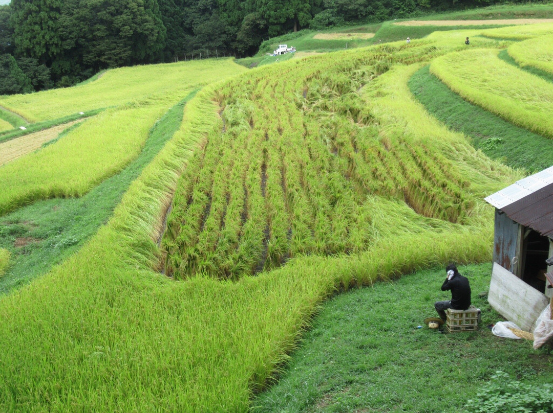 Rice terrace, Mt.Ue-香美町必去景点