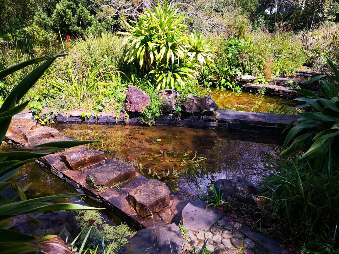 葡萄园温泉酒店主图