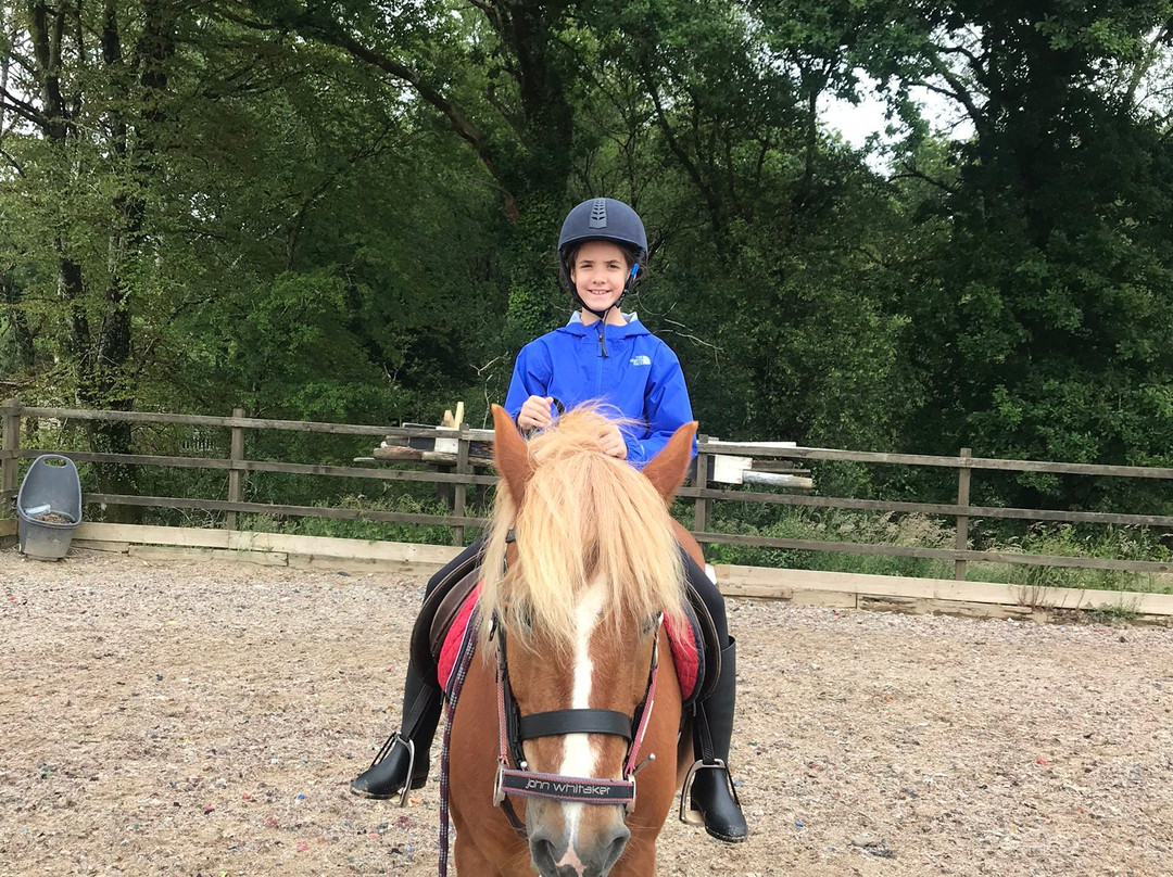 Garlands Farm Trekking and Horse Riding Centre-Highampton必去景点