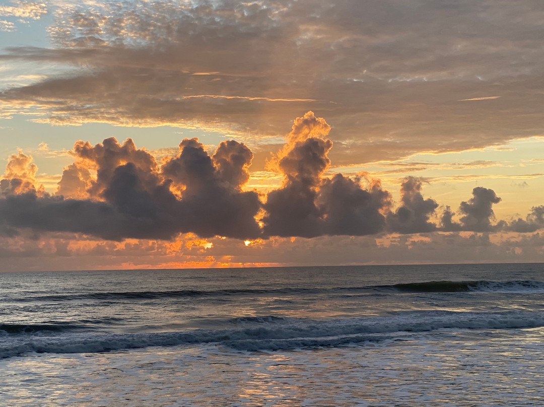 The Shores Resort & Spa主图