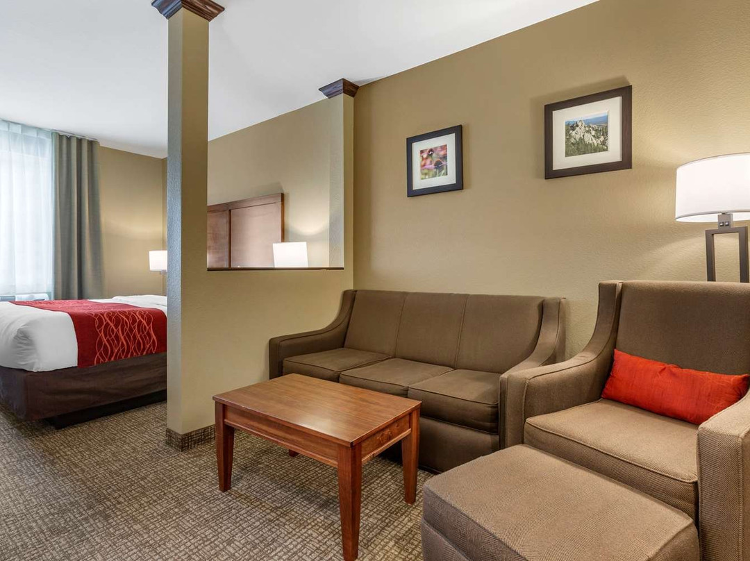 Comfort Inn & Suites Near Mt. Rushmore主图