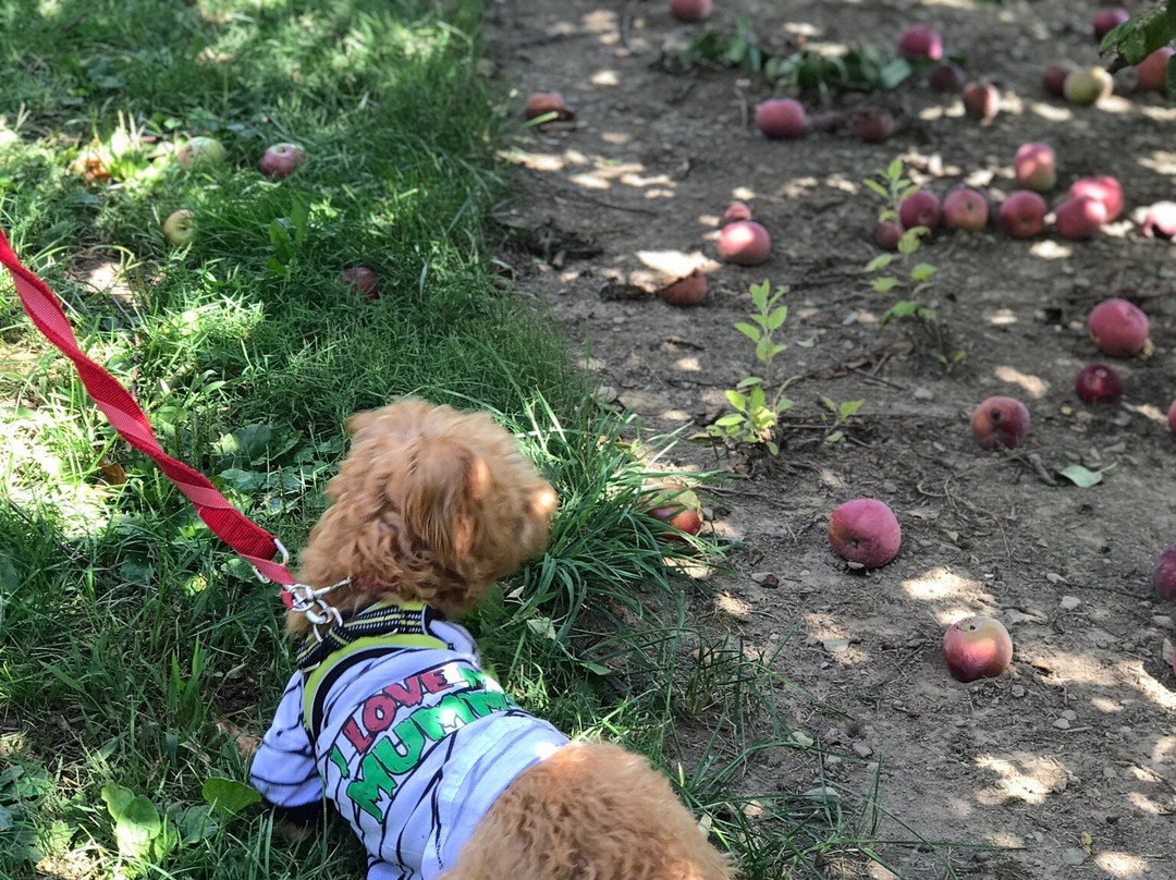 Hurd's Family Farm-Modena必去景点